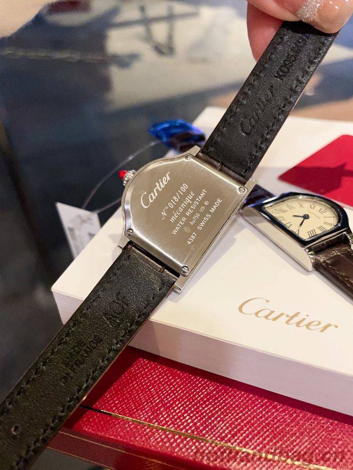 Cartier Watch CTW00213