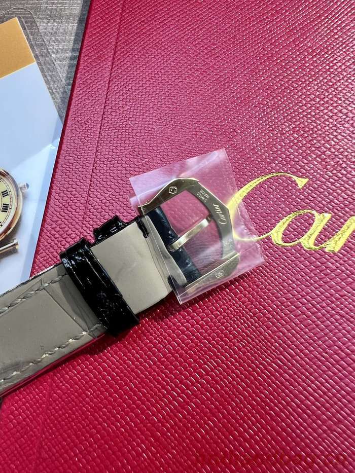 Cartier Watch CTW00281