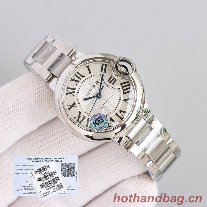 Cartier Watch CTW00315-1