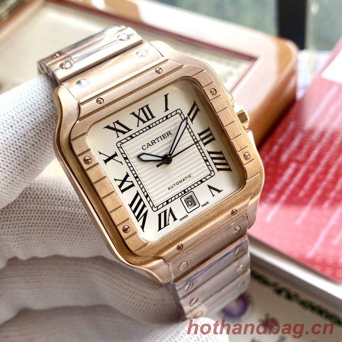 Cartier Watch CTW00359-1