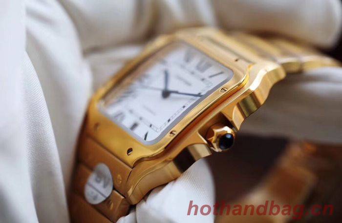 Cartier Watch CTW00372