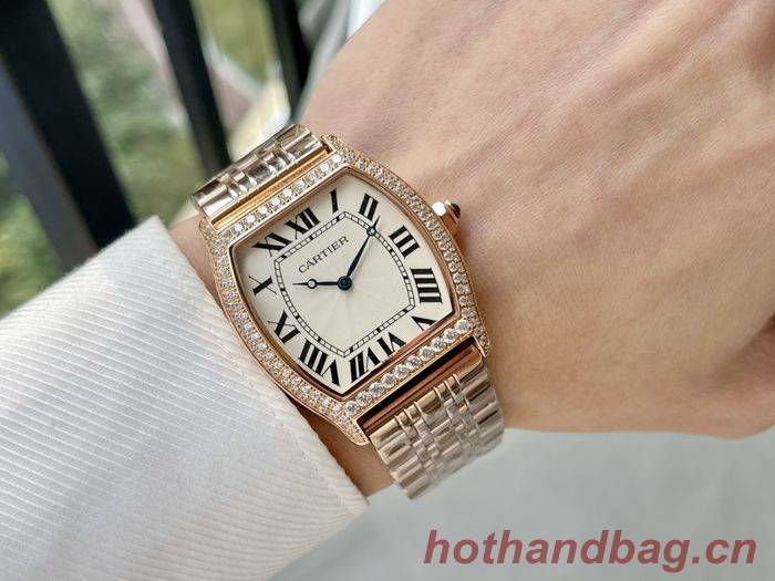 Cartier Watch CTW00462-2