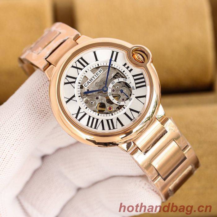 Cartier Watch CTW00502-1