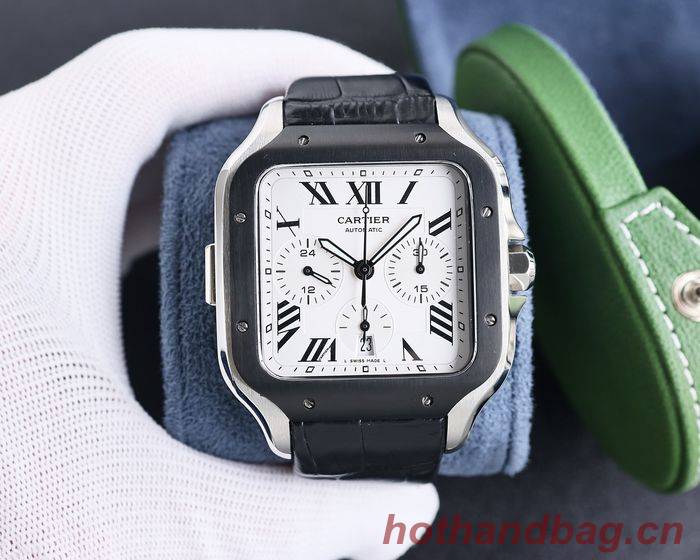 Cartier Watch CTW00519-1