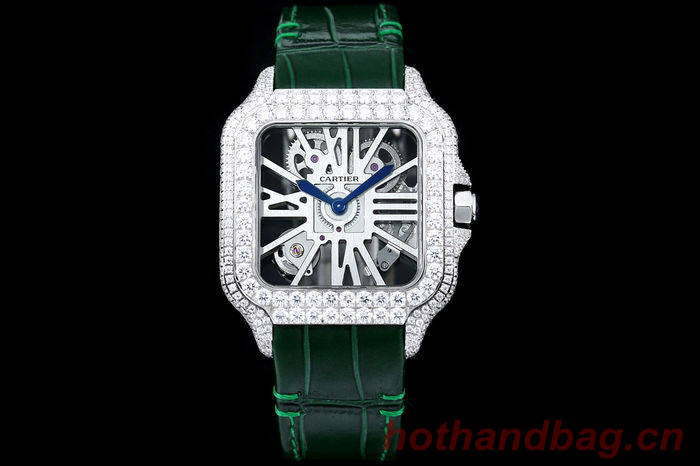 Cartier Watch CTW00666