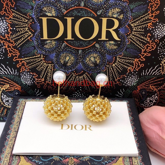 Dior Earrings CE12006