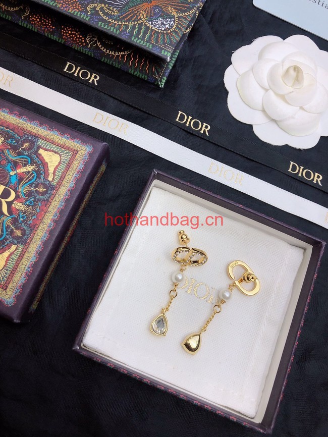 Dior Earrings CE12054