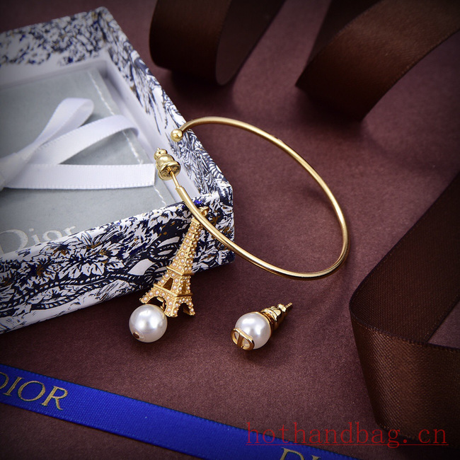 Dior Earrings CE12116