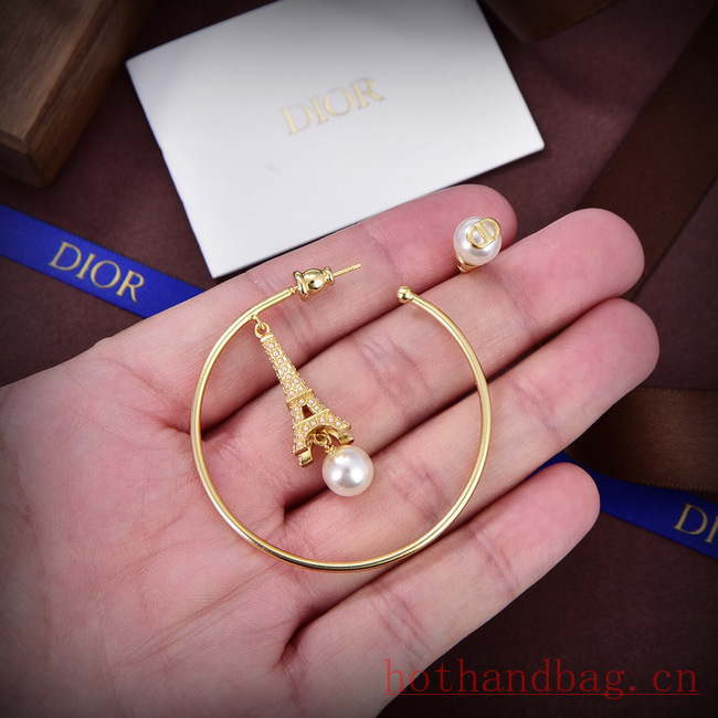 Dior Earrings CE12116