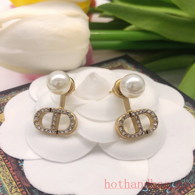 Dior Earrings CE12210