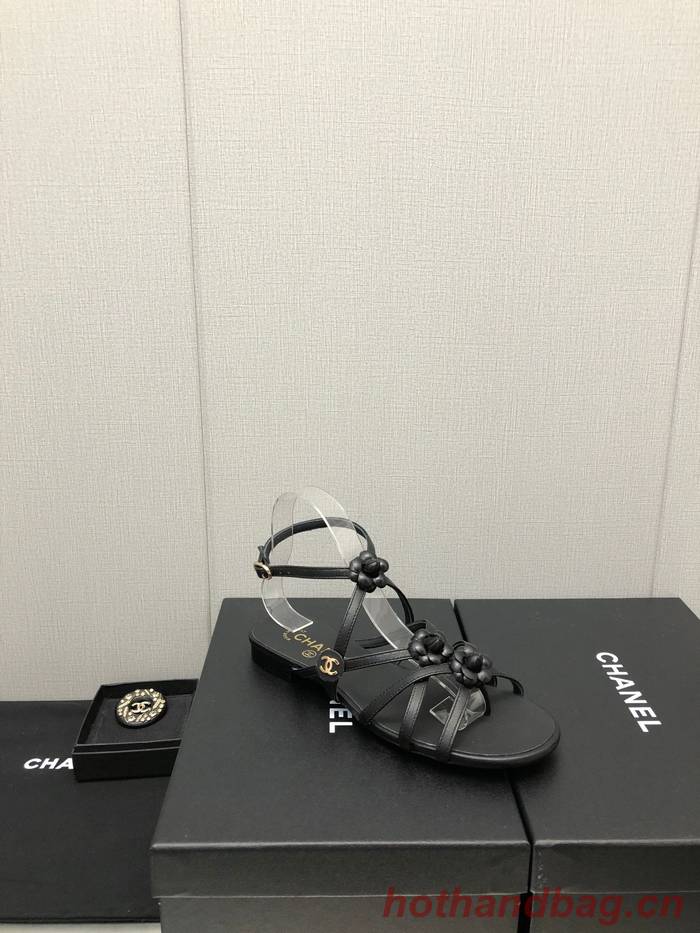 Chanel Shoes CHS00816