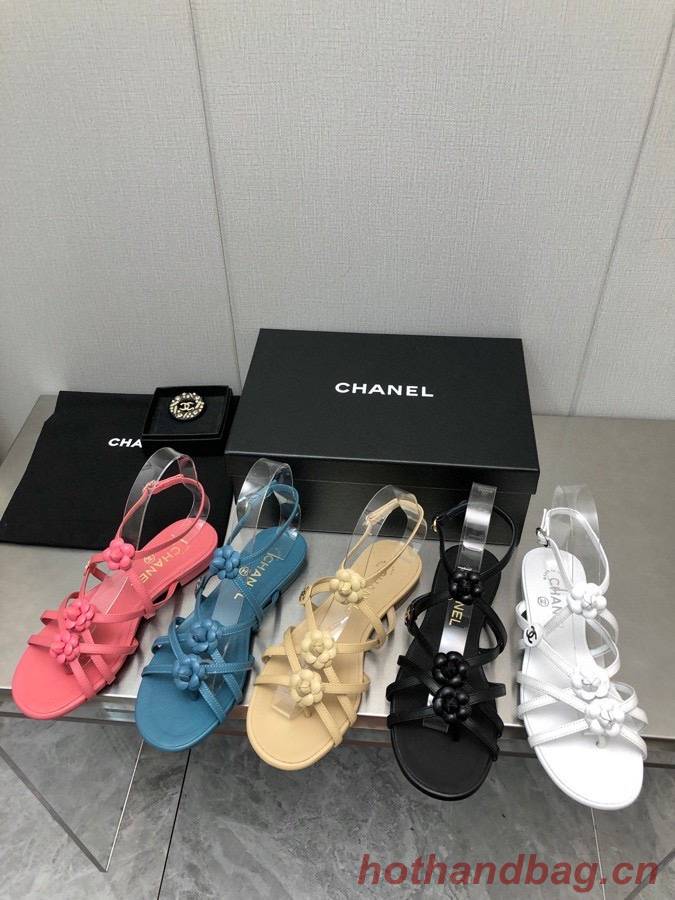 Chanel Shoes CHS00816