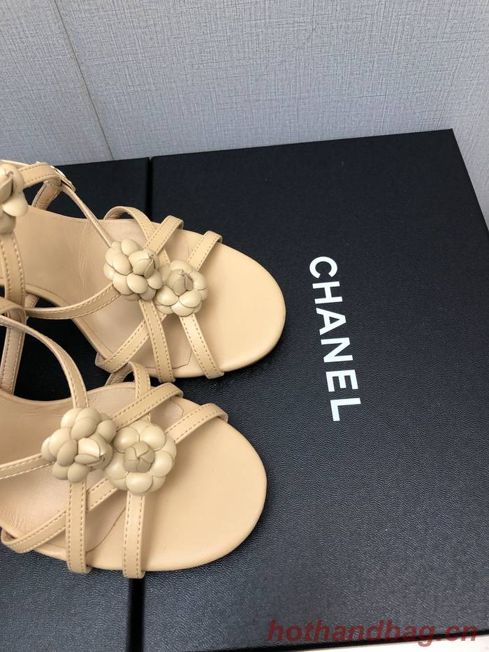 Chanel Shoes CHS00820