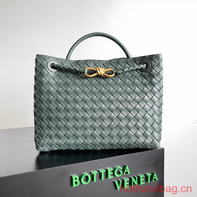 Bottega Veneta Medium Andiamo 743572 Dark Green