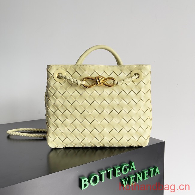 Bottega Veneta Small Andiamo 743568 Chamomile