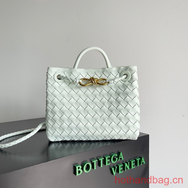 Bottega Veneta Small Andiamo 743568 Ice Green