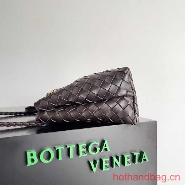 Bottega Veneta Small Andiamo 743568 Dark Brown