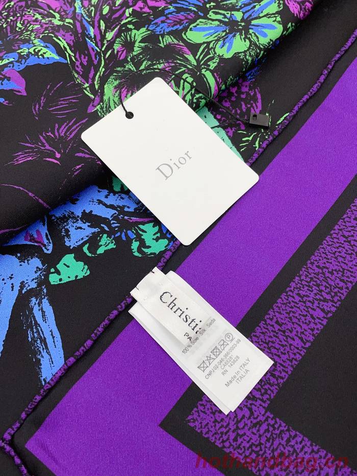 Dior Scarf DIC00171