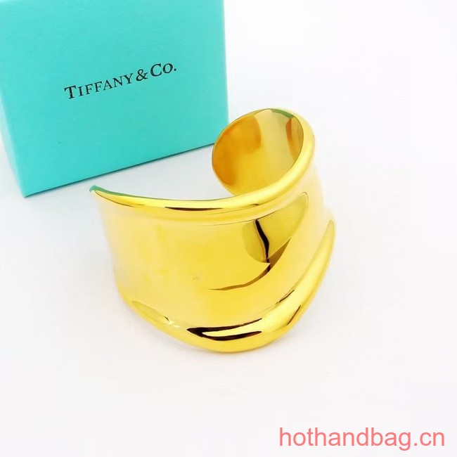 TIFFANY BRACELET CE12293