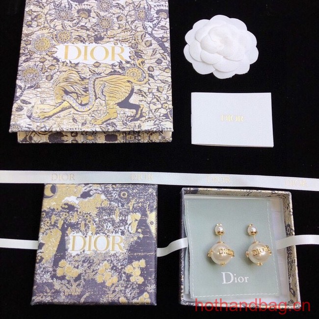 Dior Earrings CE12326