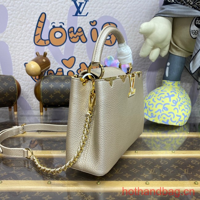 Louis Vuitton CAPUCINES BB N93164 gray