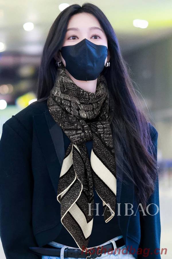 Dior Scarf DIC00296