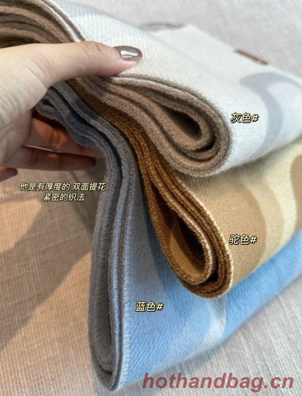 Loewe Scarf LOC00037