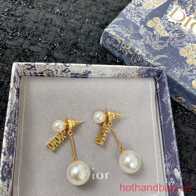 Dior Earrings CE12952