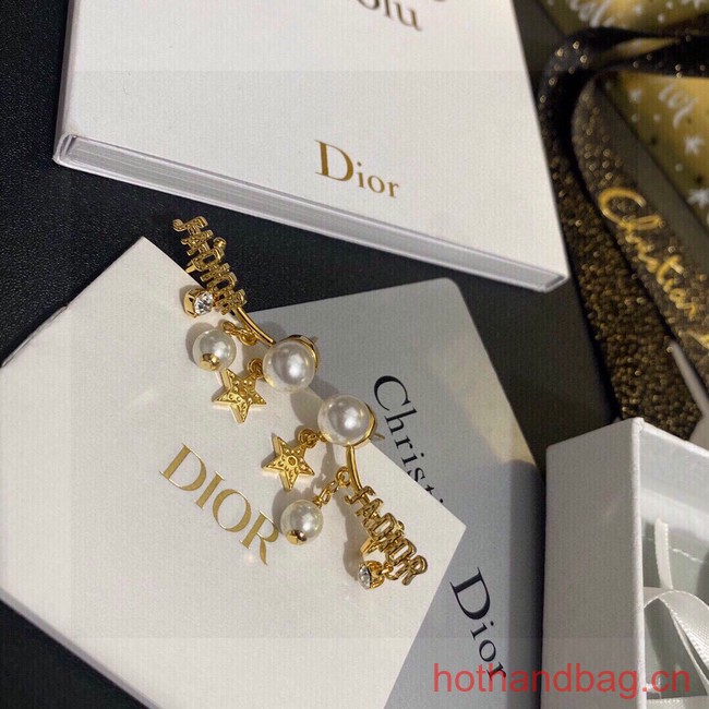 Dior Earrings CE12973