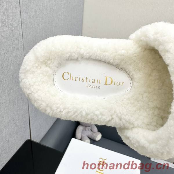 Dior Shoes DIS00323