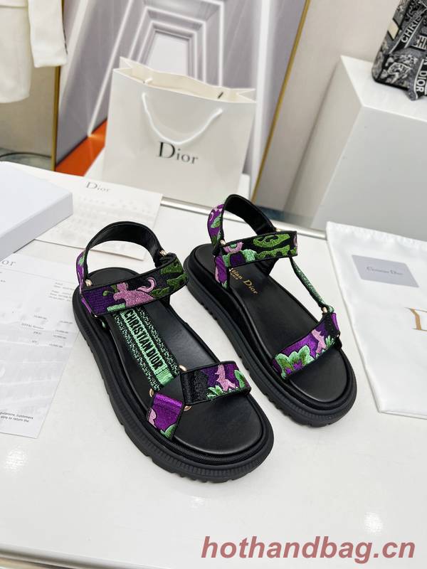 Dior Shoes DIS00343