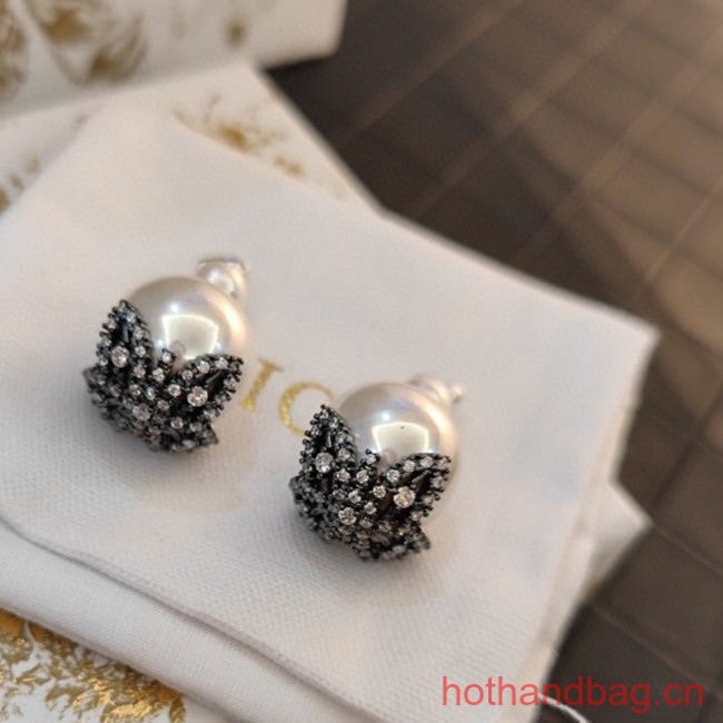 Dior Earrings CE13120