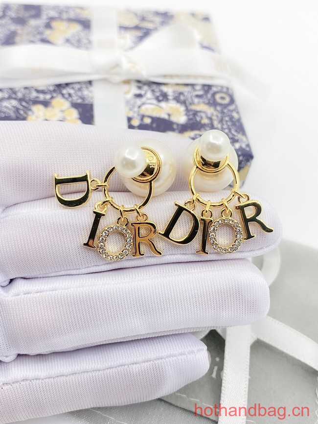 Dior Earrings CE13250