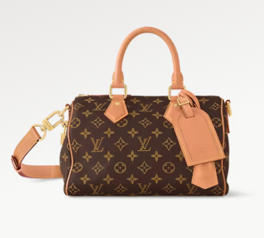 Louis Vuitton Speedy P9 Bandouliere 25 M24443