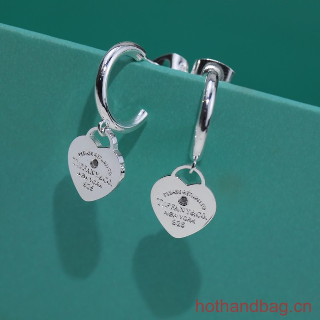 TIFFANY Earrings CE13518