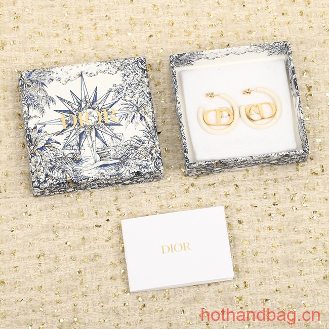 Dior Earrings CE13593