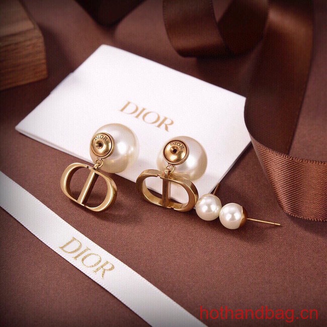 Dior Earrings CE13627