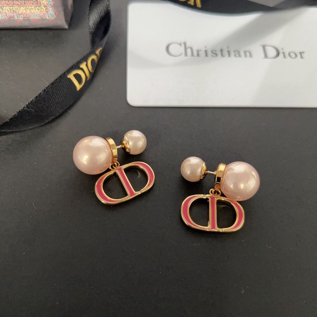 Dior Earrings CE13650