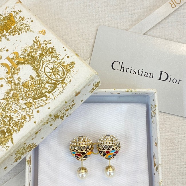 Dior Earrings CE13771