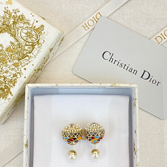 Dior Earrings CE13771