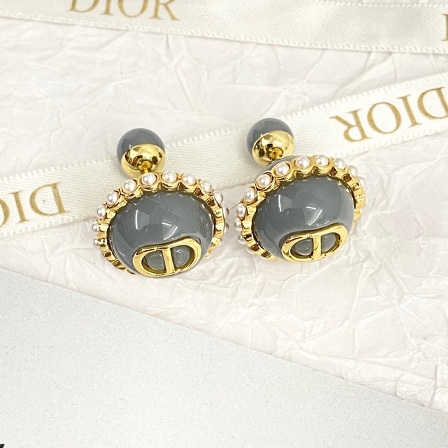 Dior Earrings CE14057