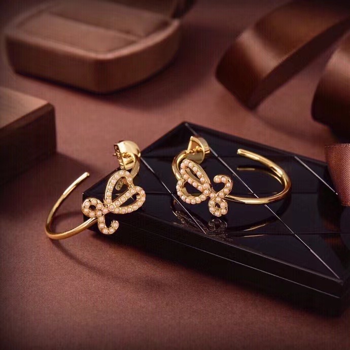 Loewe Earrings CE14191