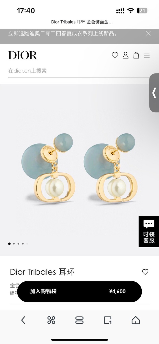 Dior Earrings CE14220