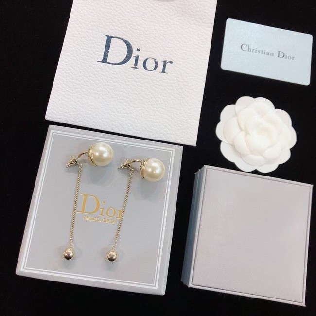 Dior Earrings CE14685