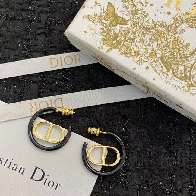 Dior Earrings CE14954