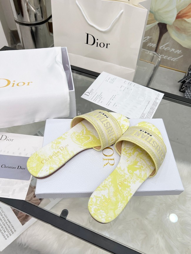 Dior Dway Slide Embroidered Cotton 11281-12