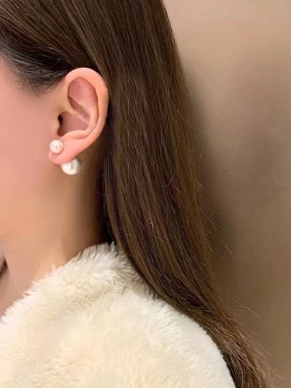 Dior Earrings CE14983