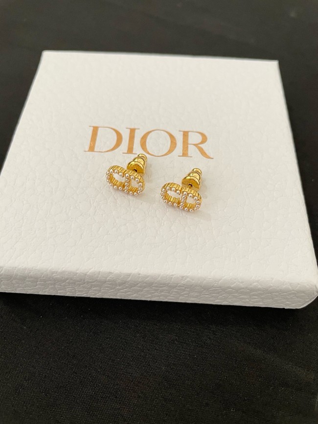 Dior Earrings CE15011