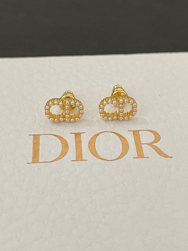 Dior Earrings CE15011