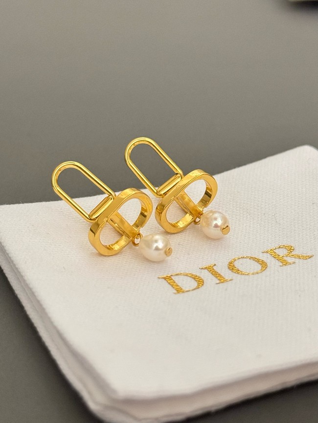 Dior Earrings CE15070